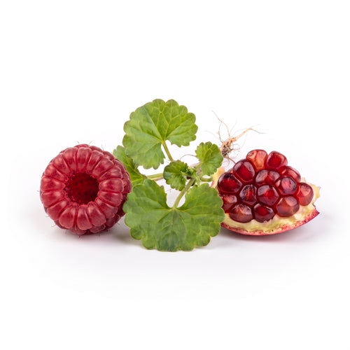 Centella & Granatapfel