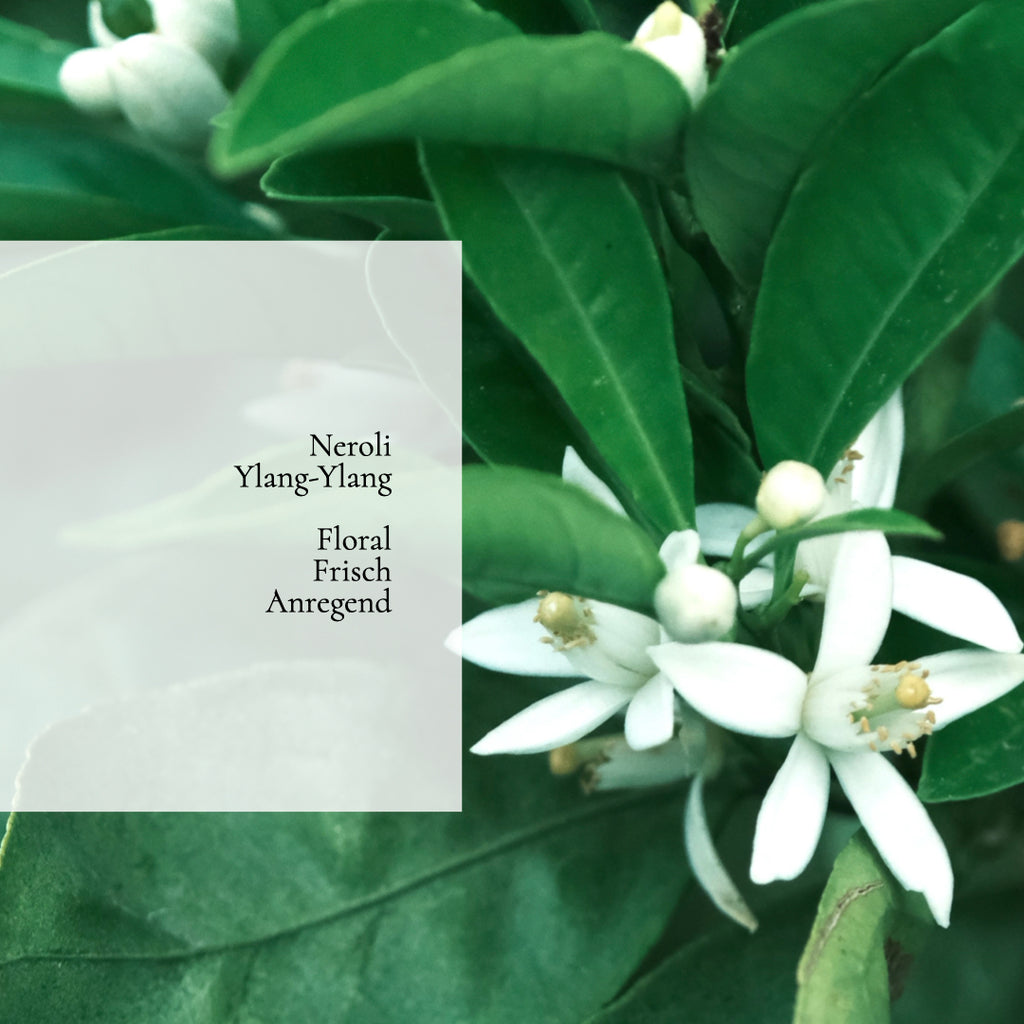 Skin Lift Essence