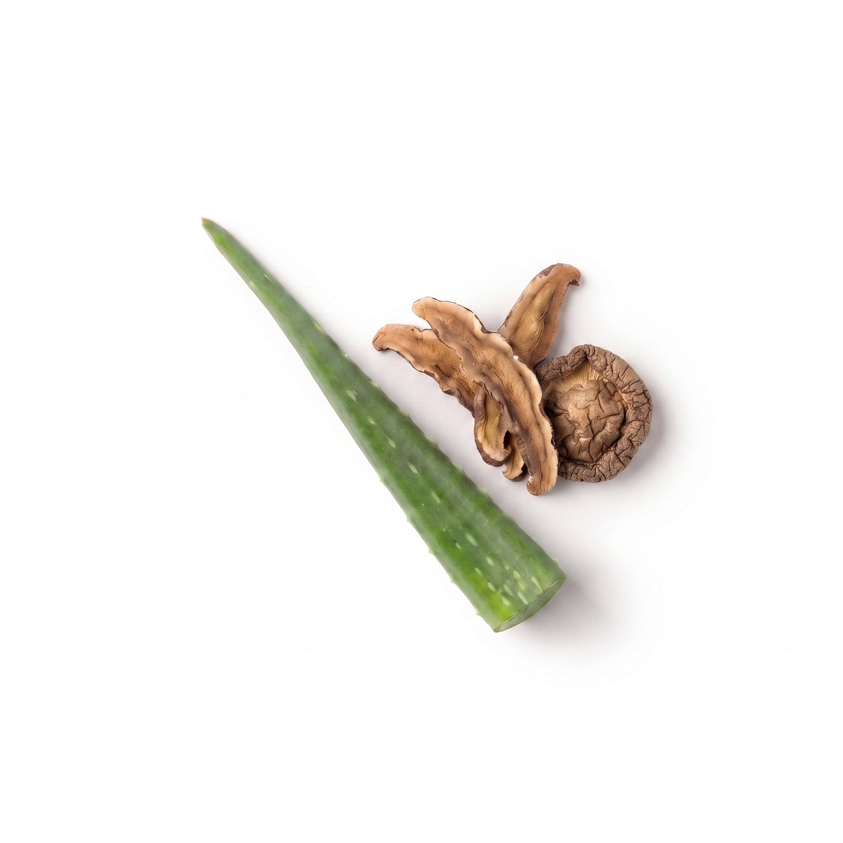 Aloe Vera, Reishi-Pilz in der ENUNE Formulierung