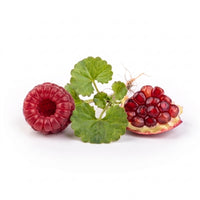 Centella, Granatapfel und Himbeere