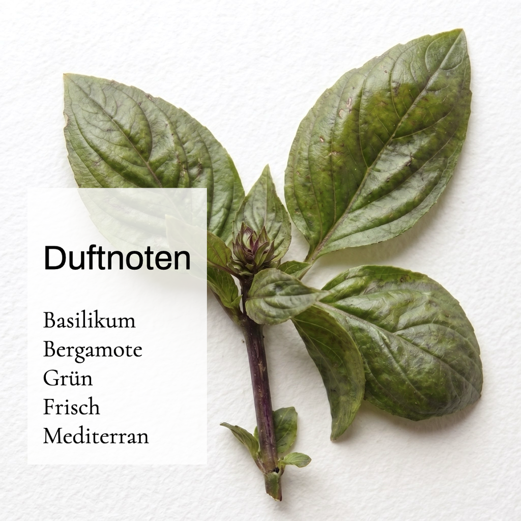 ENUNE Hydro Concentrate Serum Seitenansicht, hochkonzentrierte Feuchtigkeitspflege