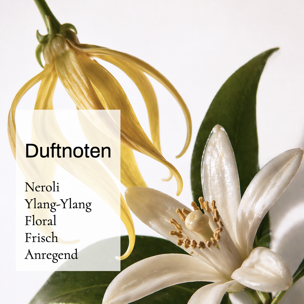 ENUNE Hydro Concentrate Serum, Produktfoto weißer Hintergrund